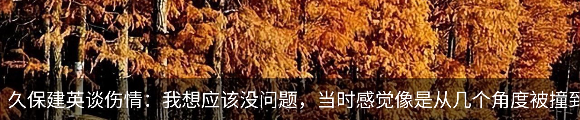 内页banner
